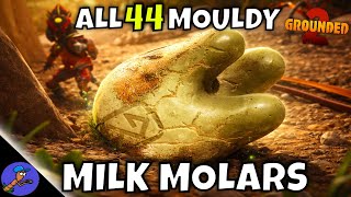 ALL 44 MOULDY MILK MOLAR LOCATIONS 🦷 Full Guide | Grounded 2 (Every Upgrade Point FAST)