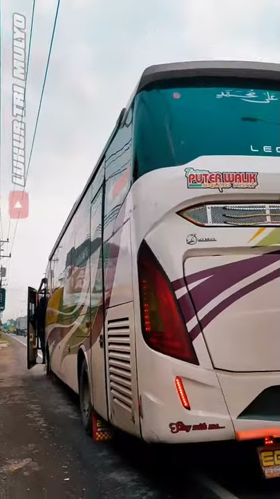 BESLI IN ACTION !!! Pesona Bus Dewi Sri Squad Roxy | Story Wa Bus