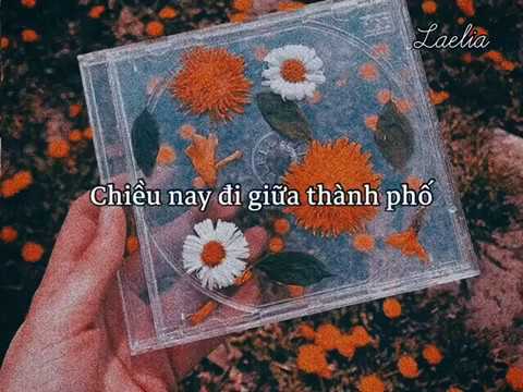 Video Trời thả vạt nắng,khiếm mái tóc em hoe vàng - youtube