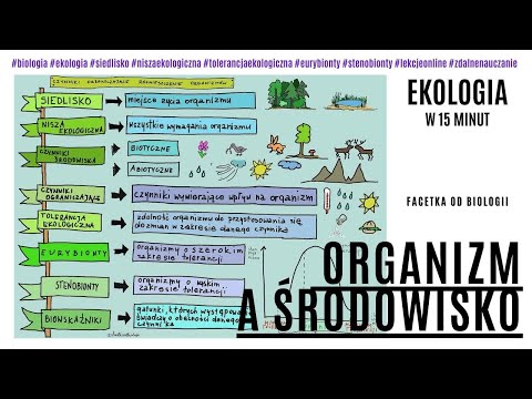 Wideo: Jak organizmy przystosowują się do swojego środowiska?