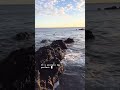 #shorts sunset spearfishing mission in hawaii - sashimi