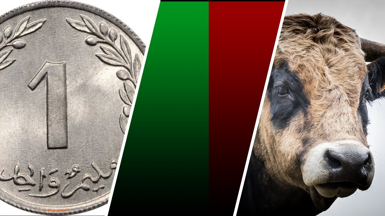 لا مواسم لا هدايا 69 فرنك وفوقهم ثور فدية . سيدي البشير في الزواج. أما 69 علاش ؟ حكايات تونسية منسية