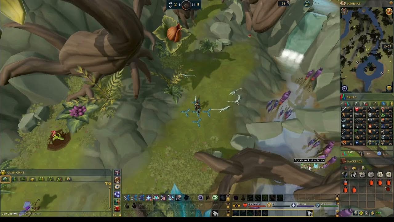AFK RS3 Hunter EXP Fast Aquatic Jadinkos XP with Protean Traps DXP