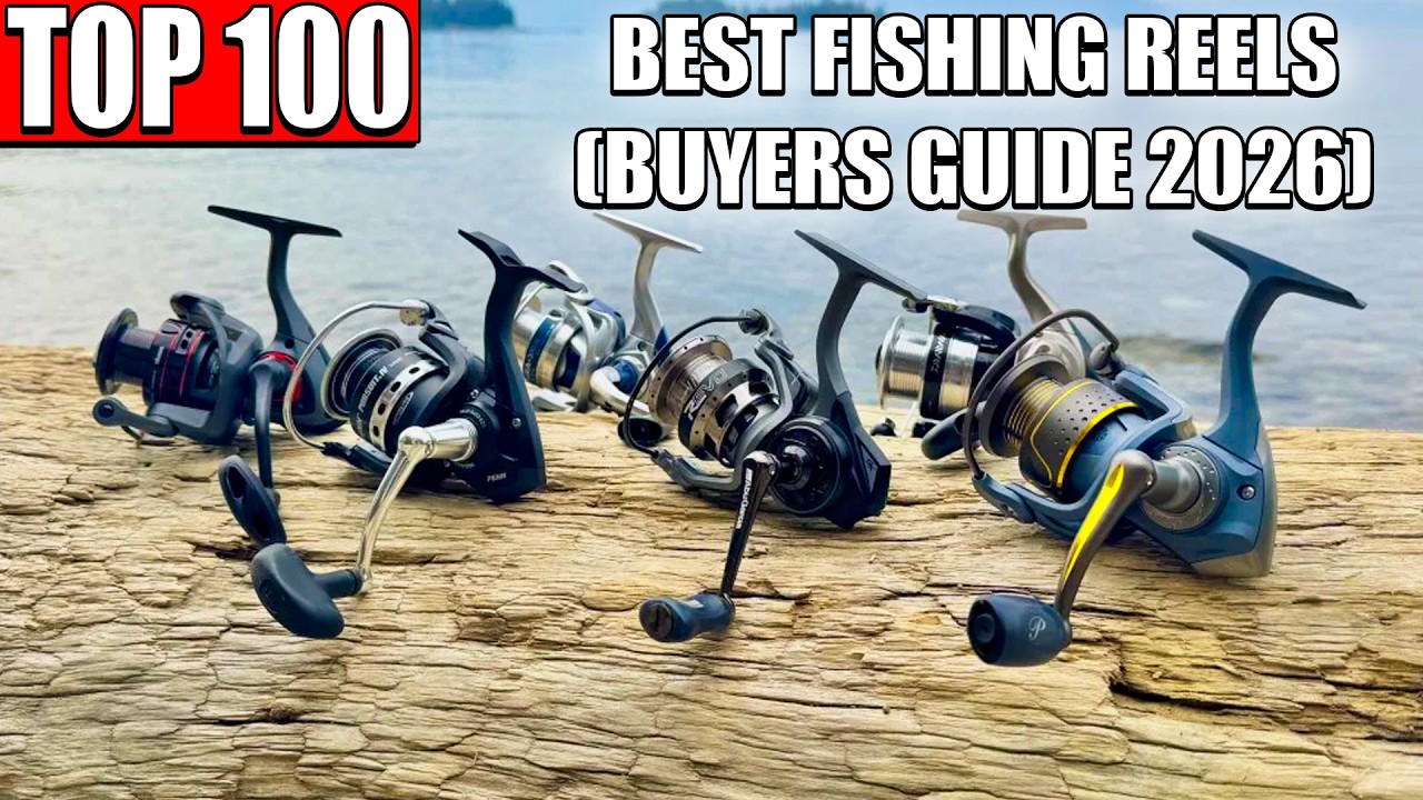 100 best fishing reel TOP 100 Best Spinning Reels of 2026 (Ultimate Buyer's Guide)