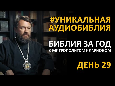 День 29. Библия за год. С митрополитом Иларионом. Библейский ультрамарафон портала «Иисус»