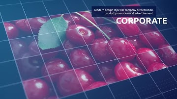 Rectangle Grid Montage Show After Effects Templates