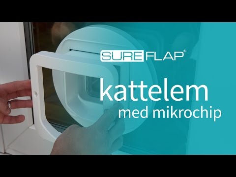 Video: Hvorfor Mikrochip Katten Din - Bør Kattunger Få ID-er For Mikrochip