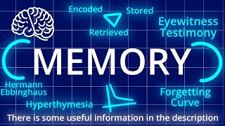 Memory: Hyperthymesia, Forgetting Curve, Hermann Ebbinghaus | Explained #03