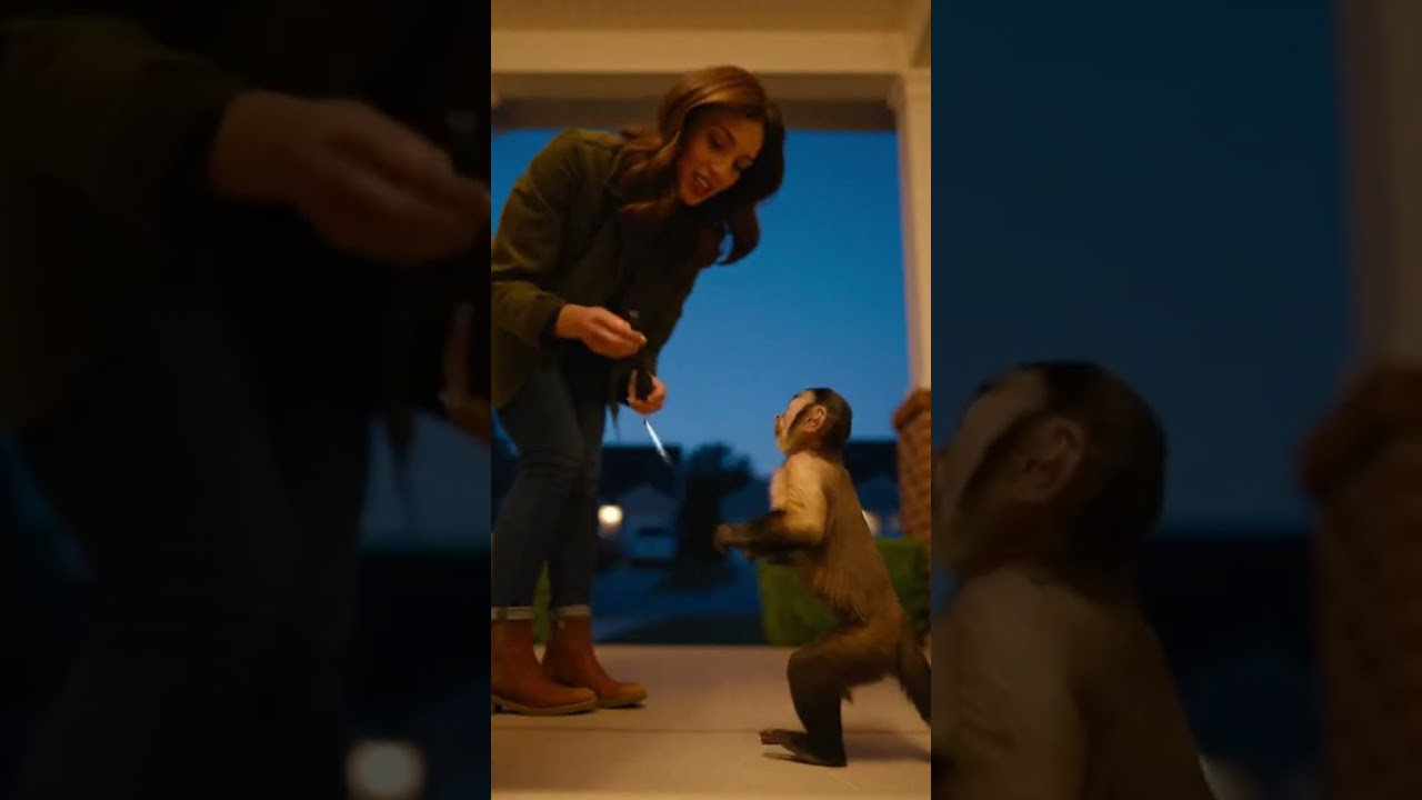 🙊2025 Monkey Is Too Clever To Set Off Escape Tricks Revealed 