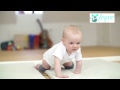 Video Image