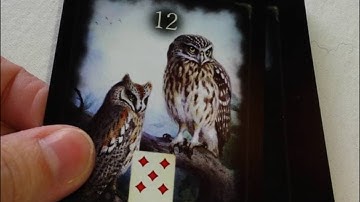 Unforgettable Lenormand flipthrough
