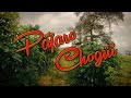 Cuerdas Colombianas - Pajaro Chogui