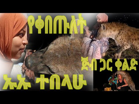 ቪዲዮ: ሆቴል በመስመር ላይ እንዴት እንደሚያዝ