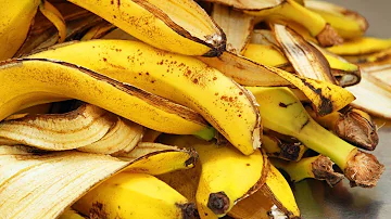 Warum verrotten Bananenschalen nicht?