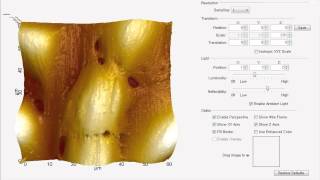 NX Bio SICM Result Analysis (SICM live cell membrane imaging)