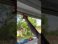 BAYZON - Fliegengitter Fenster