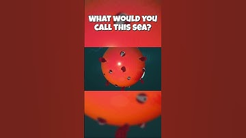 What would you call this sea?#gamedev #indiegame #indiedev #unity #fyp #games #gaming