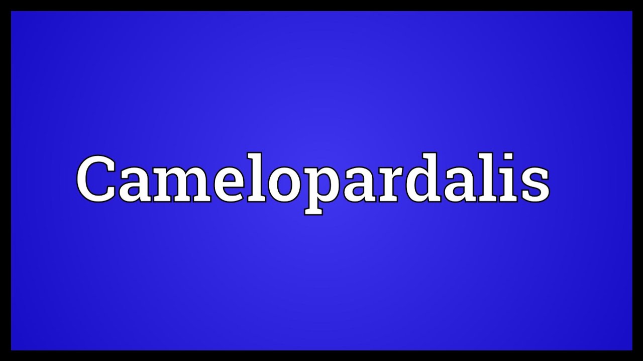 Camelopardalis Meaning YouTube