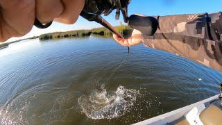 Fall Fishing On The CA Delta! (Tidal Fishing For Largemouth And Striper!)