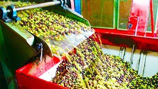 Top 10 Untold Truths of Olive Oil