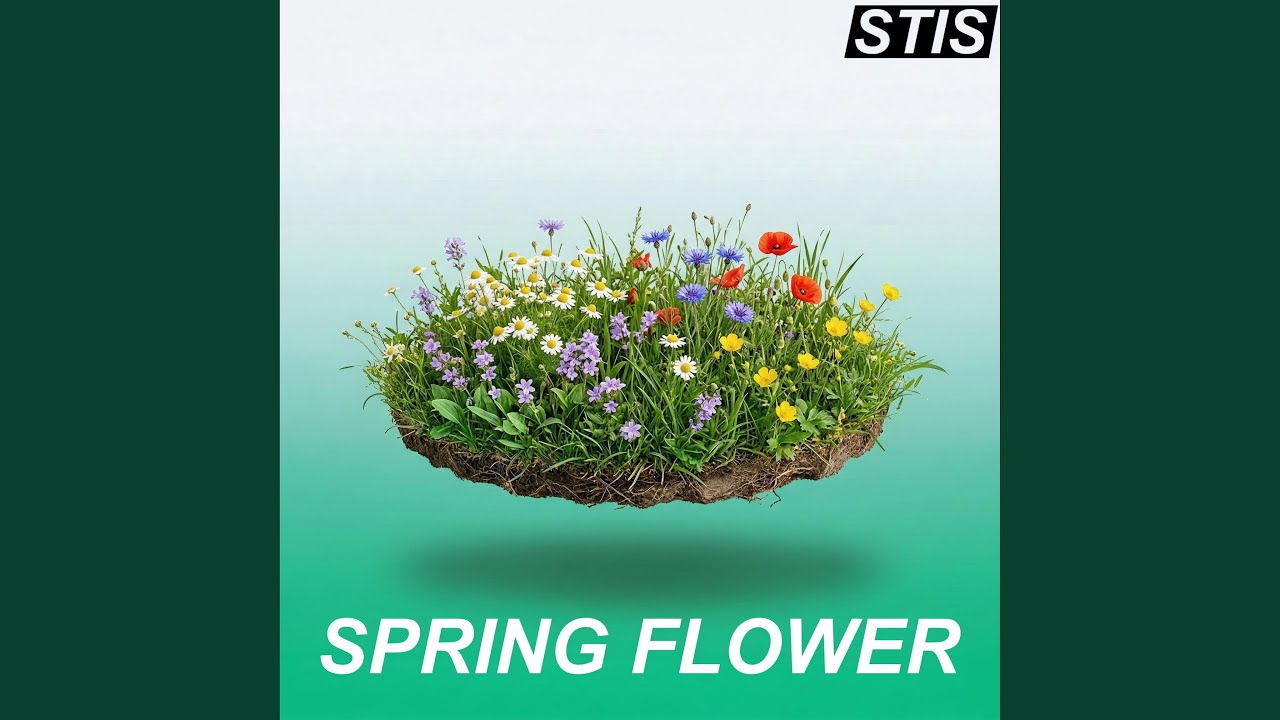 Watch Spring Aesthetic on YouTube Watch Spring Aesthetic on YouTube
