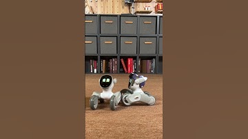 Loona. Pick me first!