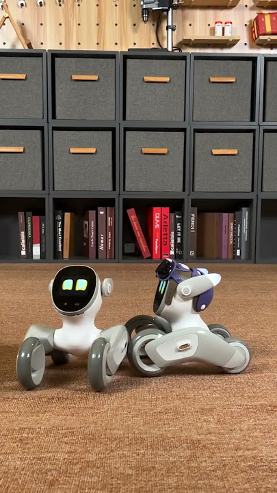 Loona. Pick me first!