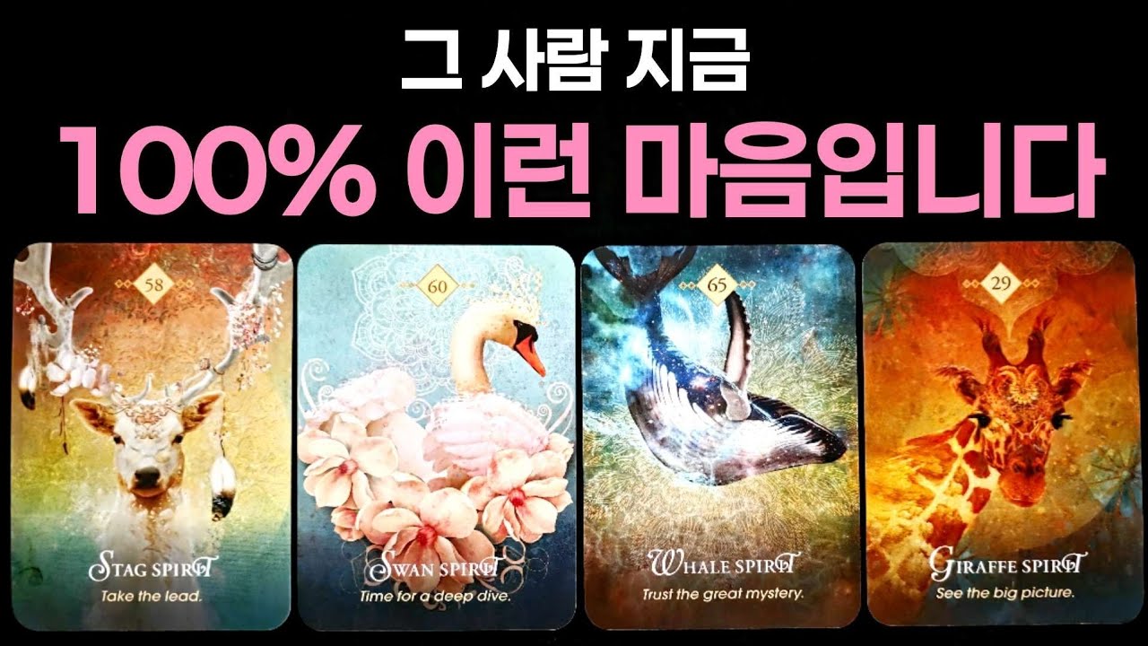 [타로]  그 사람 지금 100% 이런 마음입니다🌹