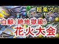 【パズドラ】白鯨降臨 高速周回（カエデディオス）【ボス確定ワンパン】