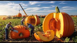 The Pumpkin Crusher: Massive Industrial Seed Extraction & Pumpkin Seed Oil Processing!