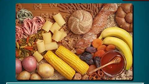 Incredible Science Class 4-Chapter 1-Page Number 10