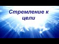 "Стремление к цели". Михаил Козин. МСЦ ЕХБ.