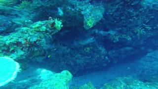 Celebrity GOPR1523 Wealth