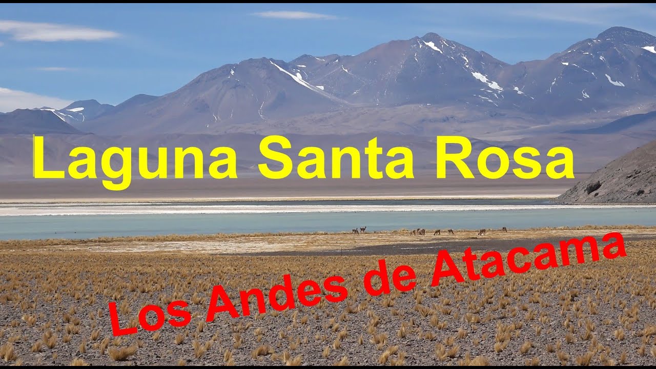 Laguna Santa Rosa (Atacama, Chile) por La Puerta y cuesta Maricunga