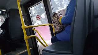 видео: 4 автобус в Всеволожск картинка: 4 автобус в Всеволожск