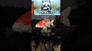Медное 14.10.2025 #рыбалка #fishing #carpfishing #рр4 #rr4 #rf4 #точкиклева