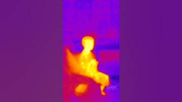Example video from Seek Thermal Camera 4