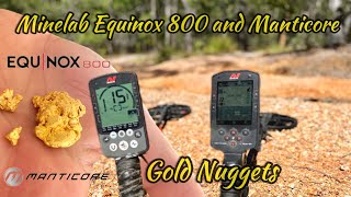 Minelab Equinox vs Manticore on gold nuggets depth test!  Including the gpx 6000