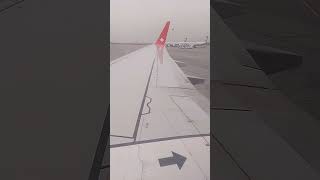 Страшно уже! Аэрофоб в самолете. Буксировка.  #адвокат