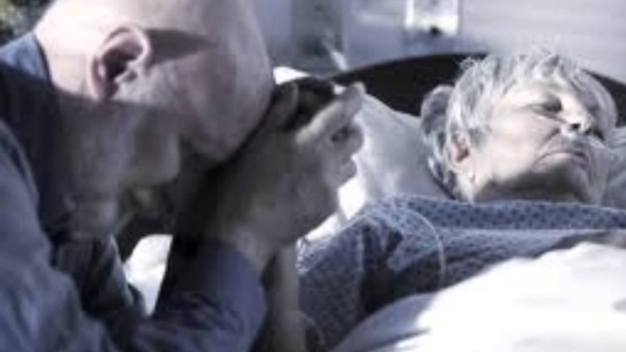 Anti-transcendentalism