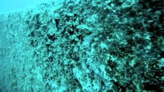 Vandenburg Wreck July 2013