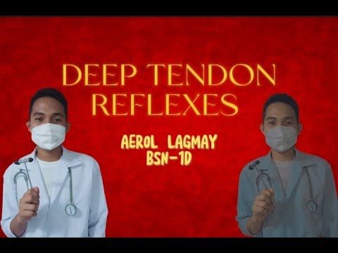 DEEP TENDON REFLEXES / Anatomy and Physiology