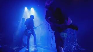 Pigs Pigs Pigs Pigs Pigs Pigs Pigs Lodge Room Highland Park Friday August 15Th 2025