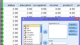 การประมวลผลข้อมูลด้วยโปรแกรม IBM SPSS : สถิติเชิงพรรณนา และ t-test, F-test, Chi-square