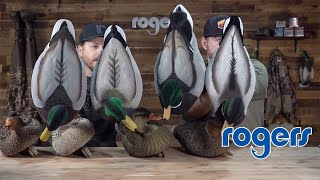 Fully Flocked Mallard Decoy Comparison Net Worth
