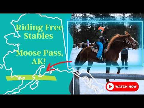Our horsemanship lesson at Riding Free Stables in Alaska! - YouTube