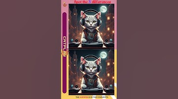 Fun games to exercise your brain./FIND DJ & cat/Spot The Difference