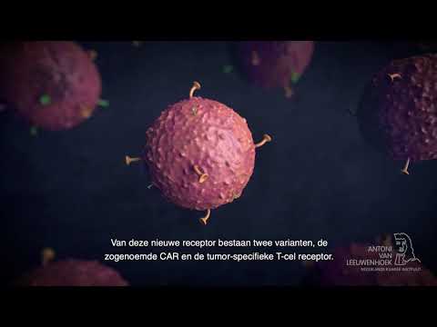 Video: Een Rol Voor Pre-mNK-cellen In Tumorprogressie