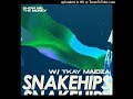 Snakehips Show Me The Money With Tkay Maidza mp3