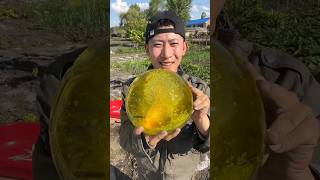 From Insult to Viral Jelly What She Did Next 😱#ytshorts #shorts